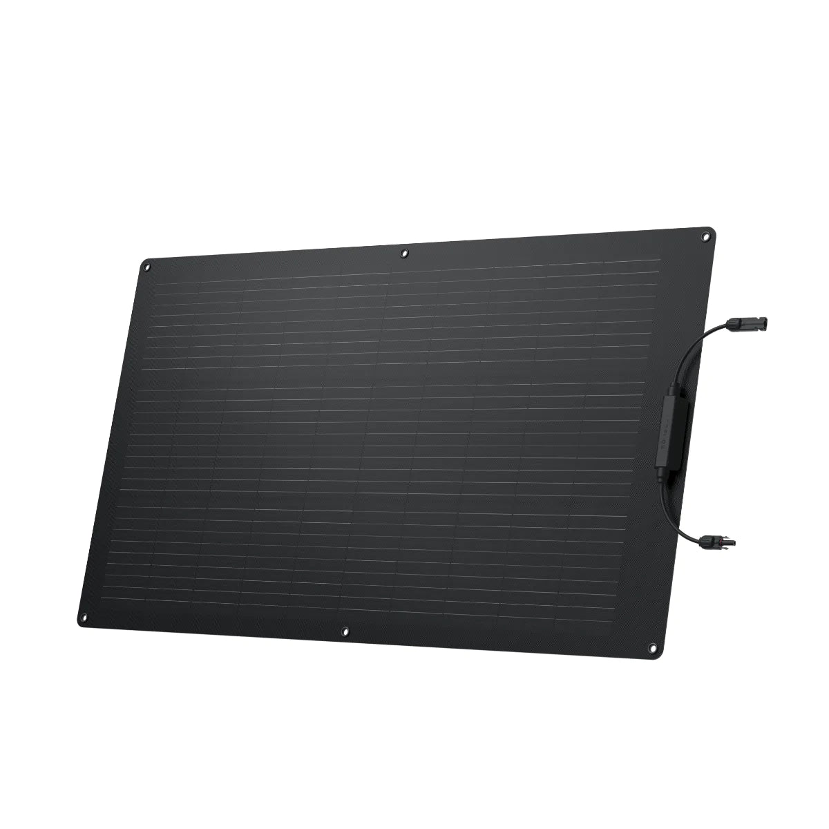 EcoFlow 100W Flexible Solar Panel – Energian